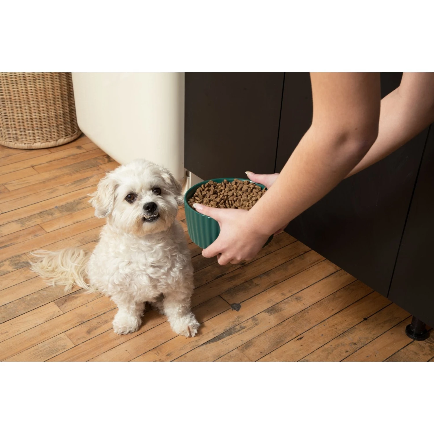 Waggo Ripple Solid Ceramic Dog & Cat Bowl 5 Waggo Ripple Solid Ceramic Dog & Cat Bowl - Image 3