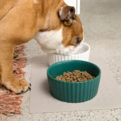 Waggo Ripple Solid Ceramic Dog & Cat Bowl 12 Waggo Ripple Solid Ceramic Dog & Cat Bowl -Blue Buffalo || ROYAL CANIN || Wellness Sales 277046 PT3. AC SS1800 V1698093409