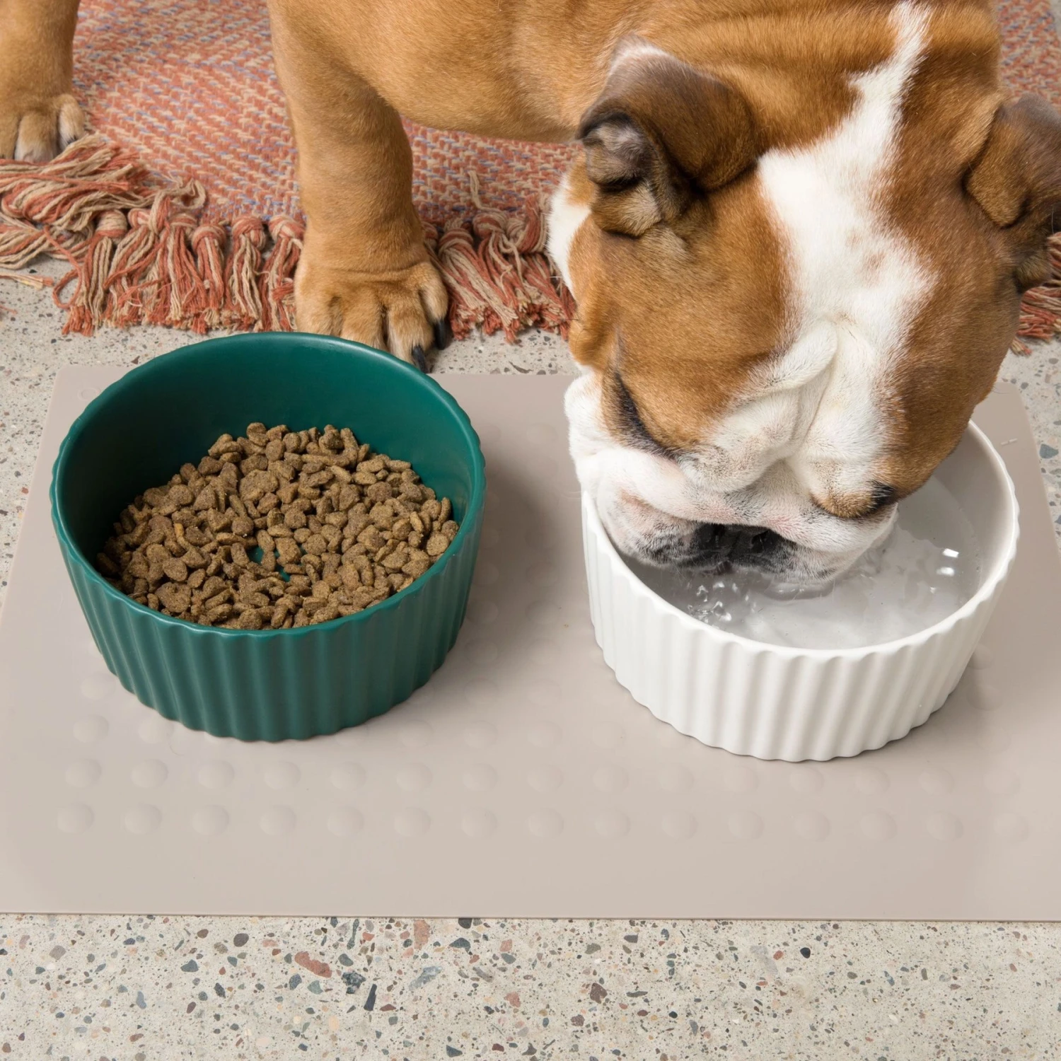 Waggo Ripple Solid Ceramic Dog & Cat Bowl 7 Waggo Ripple Solid Ceramic Dog & Cat Bowl - Image 5