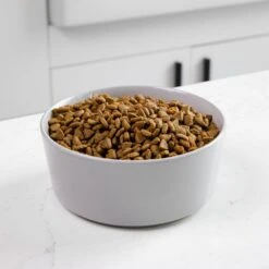 Waggo Simple Solid Ceramic Dog & Cat Bowl 9 Waggo Simple Solid Ceramic Dog & Cat Bowl -Blue Buffalo || ROYAL CANIN || Wellness Sales 277061 PT2. AC SS1800 V1697132261