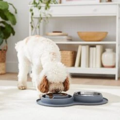 Frisco Silicone Stainless Steel Double Diner Slow Feeder Dog & Cat Bowl, Grey, 3 Cup -Blue Buffalo || ROYAL CANIN || Wellness Sales 277549 PT2. AC SS1800 V1630346823