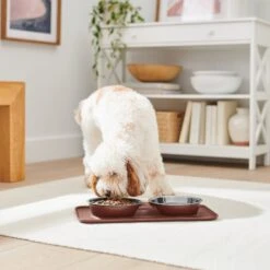 Frisco Silicone Stainless Steel Double Diner Dog & Cat Bowl, Brown -Blue Buffalo || ROYAL CANIN || Wellness Sales 277551 PT2. AC SS1800 V1630346531