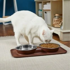 Frisco Silicone Stainless Steel Double Diner Dog & Cat Bowl, Brown -Blue Buffalo || ROYAL CANIN || Wellness Sales 277551 PT3. AC SS1800 V1630348104