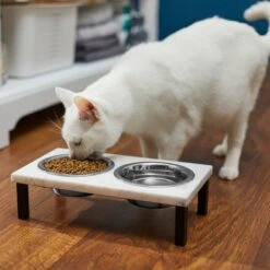 Frisco Marble Elevated Stainless Steel Double Diner Dog & Cat Bowls -Blue Buffalo || ROYAL CANIN || Wellness Sales 277559 PT3. AC SS1800 V1630347820