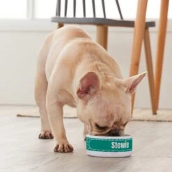 Frisco Personalized General Dog & Cat Small Dog Bowl -Blue Buffalo || ROYAL CANIN || Wellness Sales 278924 PT3. AC SS1800 V1629147374