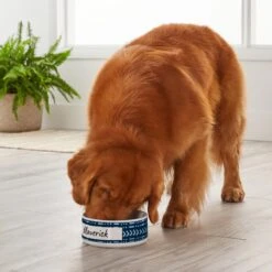 Frisco Personalized Mudcloth Dog Bowl -Blue Buffalo || ROYAL CANIN || Wellness Sales 278934 PT3. AC SS1800 V1629147418