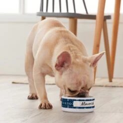 Frisco Personalized Mudcloth Small Dog & Cat Bowl -Blue Buffalo || ROYAL CANIN || Wellness Sales 278936 PT3. AC SS1800 V1629147692