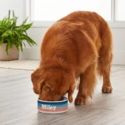 Frisco Personalized Watercolor Dog Bowl -Blue Buffalo || ROYAL CANIN || Wellness Sales 278942 PT3. AC SS1800 V1629147399