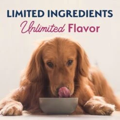 Natural Balance Limited Ingredient Reserve Grain-Free Sweet Potato & Venison Recipe Dry Dog Food 17 Natural Balance Limited Ingredient Reserve Grain-Free Sweet Potato & Venison Recipe Dry Dog Food -Blue Buffalo || ROYAL CANIN || Wellness Sales 280096 PT8. AC SS1800 V1652123214