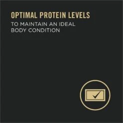 Purina Pro Plan Adult 7+ Complete Essentials Turkey & Rice Entree Wet Dog Food, 13-oz Can, Case Of 12 -Blue Buffalo || ROYAL CANIN || Wellness Sales 280293 PT3. AC SS1800 V1615850188