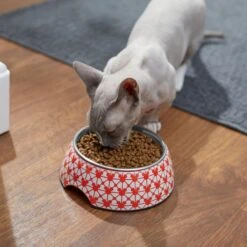Disney Mickey Mouse Red Deco Stainless Steel & Melamine Dog & Cat Bowl -Blue Buffalo || ROYAL CANIN || Wellness Sales 280617 PT3. AC SS1800 V1629986559