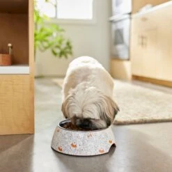 Disney Winnie The Pooh Non-Skid Stainless Steel With Melamine Stand Dog & Cat Bowl, Orange 10 Disney Winnie The Pooh Non-Skid Stainless Steel With Melamine Stand Dog & Cat Bowl, Orange -Blue Buffalo || ROYAL CANIN || Wellness Sales 280633 PT2. AC SS1800 V1629986748