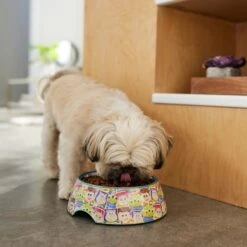 Pixar Toy Story Non-Skid Stainless Steel With Melamine Stand Dog & Cat Bowl 10 Pixar Toy Story Non-Skid Stainless Steel With Melamine Stand Dog & Cat Bowl -Blue Buffalo || ROYAL CANIN || Wellness Sales 280641 PT2. AC SS1800 V1629986726