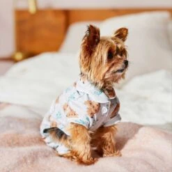 Wagatude Hedgehog Print Dog Pajamas 11 Wagatude Hedgehog Print Dog Pajamas -Blue Buffalo || ROYAL CANIN || Wellness Sales 282098 PT3. AC SS1800 V1637648794