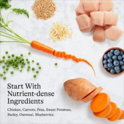 American Journey Chicken & Vegetables Recipe Canned Dog Food -Blue Buffalo || ROYAL CANIN || Wellness Sales 286573 PT6. AC SS1800 V1696608381