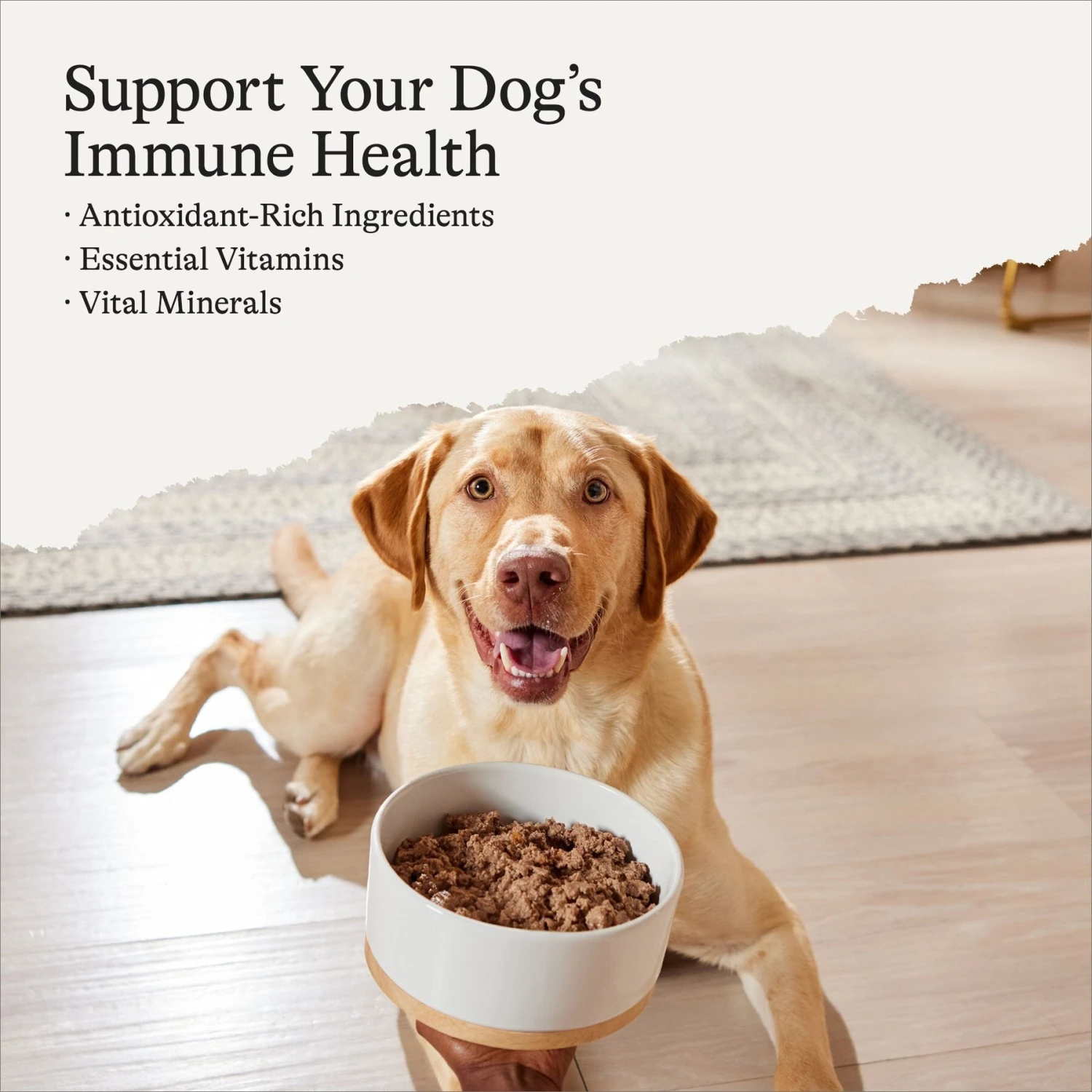 American Journey Beef & Vegetables Recipe Canned Dog Food 4 American Journey Beef & Vegetables Recipe Canned Dog Food - Image 2