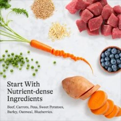 American Journey Beef & Vegetables Recipe Canned Dog Food 17 American Journey Beef & Vegetables Recipe Canned Dog Food -Blue Buffalo || ROYAL CANIN || Wellness Sales 286577 PT6. AC SS1800 V1696608321