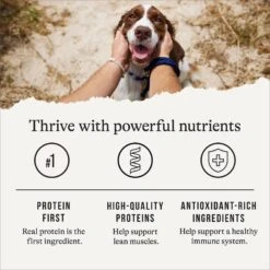 American Journey Turkey & Vegetables Recipe Canned Dog Food -Blue Buffalo || ROYAL CANIN || Wellness Sales 286579 PT5. AC SS1800 V1696608381