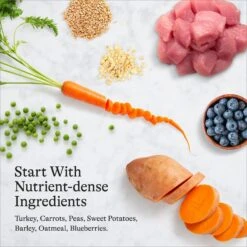 American Journey Turkey & Vegetables Recipe Canned Dog Food -Blue Buffalo || ROYAL CANIN || Wellness Sales 286579 PT6. AC SS1800 V1696608383