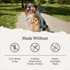 American Journey Turkey & Vegetables Recipe Canned Dog Food -Blue Buffalo || ROYAL CANIN || Wellness Sales 286579 PT7. AC SS1800 V1696608329