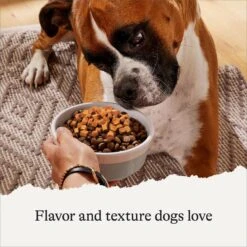 American Journey Savory Toppers Beef Recipe In Gravy Grain-Free Dog Food Topper, 3-oz Pouches, Case Of 24 -Blue Buffalo || ROYAL CANIN || Wellness Sales 286953 PT3. AC SS1800 V1628536078