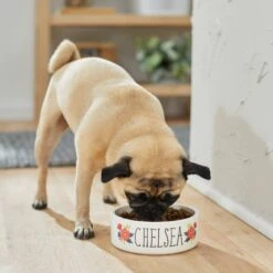 Frisco Flower Ceramic Personalized Dog Bowl -Blue Buffalo || ROYAL CANIN || Wellness Sales 286985 PT2. AC SS1800 V1625764713