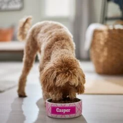 Frisco Personalized Plaid Ceramic Dog Bowl 11 Frisco Personalized Plaid Ceramic Dog Bowl -Blue Buffalo || ROYAL CANIN || Wellness Sales 287013 PT4. AC SS1800 V1639518088