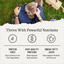 American Journey Chicken Recipe Grain-Free Canned Dog Food, 12.5-oz -Blue Buffalo || ROYAL CANIN || Wellness Sales 287336 PT5. AC SS1800 V1696608383