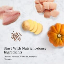 American Journey Chicken Recipe Grain-Free Canned Dog Food, 12.5-oz -Blue Buffalo || ROYAL CANIN || Wellness Sales 287336 PT6. AC SS1800 V1696608323