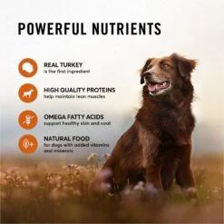 American Journey Turkey Recipe Grain-Free Canned Dog Food, 12.5-oz -Blue Buffalo || ROYAL CANIN || Wellness Sales 287338 PT3. AC SS1800 V1649970109