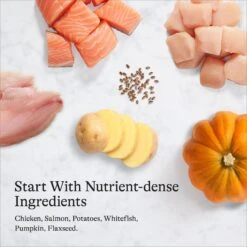 American Journey Chicken & Salmon Recipe Grain-Free Canned Dog Food -Blue Buffalo || ROYAL CANIN || Wellness Sales 287341 PT6. AC SS1800 V1696608323