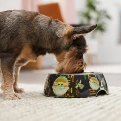 STAR WARS THE MANDALORIAN GROGU AUREBESH Non-Skid Stainless Steel With Melamine Stand Dog & Cat Bowl 10 STAR WARS THE MANDALORIAN GROGU AUREBESH Non-Skid Stainless Steel With Melamine Stand Dog & Cat Bowl -Blue Buffalo || ROYAL CANIN || Wellness Sales 291435 PT2. AC SS1800 V1633978802