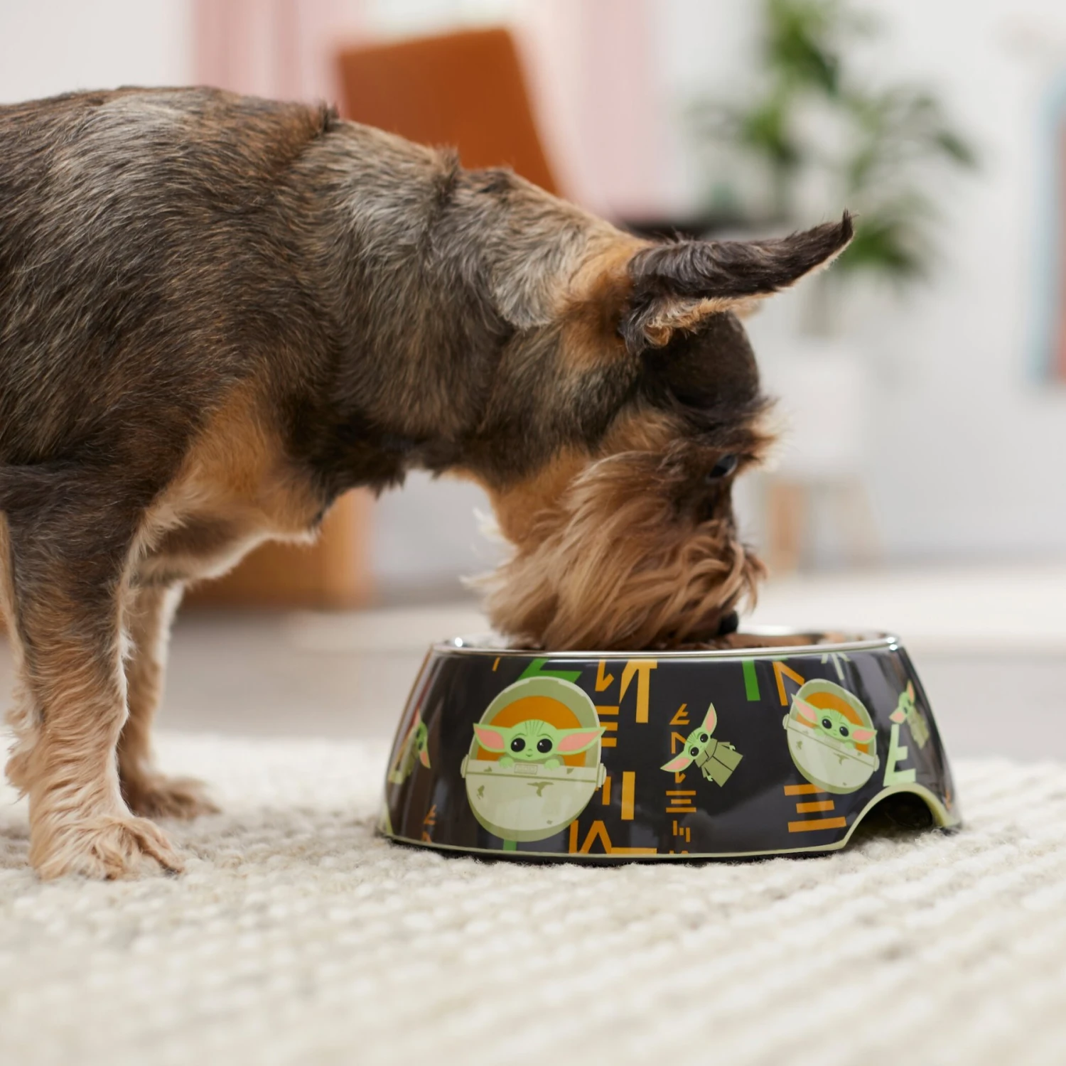 STAR WARS THE MANDALORIAN GROGU AUREBESH Non-Skid Stainless Steel With Melamine Stand Dog & Cat Bowl 5 STAR WARS THE MANDALORIAN GROGU AUREBESH Non-Skid Stainless Steel With Melamine Stand Dog & Cat Bowl - Image 3