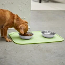 STAR WARS THE MANDALORIAN GROGU Snack Silicone Dog & Cat Food Mat -Blue Buffalo || ROYAL CANIN || Wellness Sales 291448 PT2. AC SS1800 V1633979380