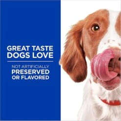 Hill's Science Diet Adult Sensitive Stomach & Sensitive Skin Chicken Recipe Dry Dog Food & Hill's Natural Soft Savories With Peanut Butter & Banana Dog Treats -Blue Buffalo || ROYAL CANIN || Wellness Sales 293202 PT6. AC SS1800 V1639092134