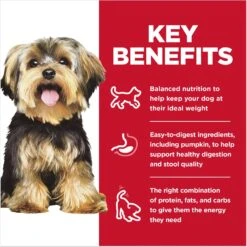 Hill's Science Diet Adult Small & Mini Chicken Meal & Rice Recipe Dry Dog Food & Greenies Teenie Dental Dog Treats -Blue Buffalo || ROYAL CANIN || Wellness Sales 293228 PT8. AC SS1800 V1692882992