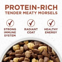 Purina ONE +Plus Adult High-Protein Healthy Weight Formula Dry Dog Food & Milk-Bone Original Large Biscuit Dog Treats 13 Purina ONE +Plus Adult High-Protein Healthy Weight Formula Dry Dog Food & Milk-Bone Original Large Biscuit Dog Treats -Blue Buffalo || ROYAL CANIN || Wellness Sales 293540 PT3. AC SS1800 V1620090167