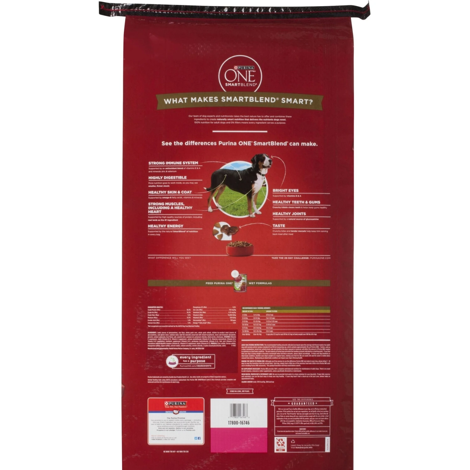 Purina ONE Natural SmartBlend Lamb & Rice Formula Dry Dog Food & Milk-Bone Original Large Biscuit Dog Treats 9 Purina ONE Natural SmartBlend Lamb & Rice Formula Dry Dog Food & Milk-Bone Original Large Biscuit Dog Treats - Image 7