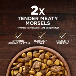 Purina ONE True Instinct Natural High Protein With Real Turkey & Venison Dry Dog Food & Milk-Bone Original Large Biscuit Dog Treats 19 Purina ONE True Instinct Natural High Protein With Real Turkey & Venison Dry Dog Food & Milk-Bone Original Large Biscuit Dog Treats -Blue Buffalo || ROYAL CANIN || Wellness Sales 293560 PT8. AC SS1800 V1661824431