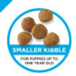 Purina Pro Plan High Protein Chicken & Rice Formula Dry Puppy Food & Wellness Soft Puppy Bites Lamb & Salmon Recipe Grain-Free Natural Dog Treats -Blue Buffalo || ROYAL CANIN || Wellness Sales 293654 PT3. AC SS1800 V1620245833