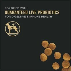 Purina Pro Plan High Protein DHA Lamb & Rice Formula Puppy Food & Wellness Soft Puppy Bites Lamb & Salmon Recipe Grain-Free Natural Dog Treats -Blue Buffalo || ROYAL CANIN || Wellness Sales 293660 PT3. AC SS1800 V1623875585