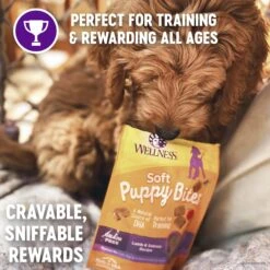 Purina Pro Plan Puppy Sensitive Skin & Stomach Salmon & Rice Dry Dog Food & Wellness Soft Puppy Bites Lamb & Salmon Recipe Grain-Free Natural Dog Treats -Blue Buffalo || ROYAL CANIN || Wellness Sales 293672 PT4. AC SS1800 V1620013946