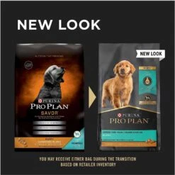 Purina Pro Plan Puppy Shredded Blend Chicken & Rice Formula With Probiotics Dry Dog Food & Wellness Soft Puppy Bites Lamb & Salmon Recipe Grain-Free Natural Dog Treats -Blue Buffalo || ROYAL CANIN || Wellness Sales 293678 PT4. AC SS1800 V1620081754