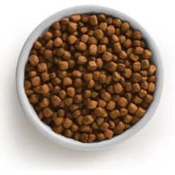 Rachael Ray Nutrish Real Turkey, Brown Rice & Venison Recipe Health Weight Dry Dog Food & Rachael Ray Nutrish Soup Bones Chicken & Veggies Flavor Dog Treats -Blue Buffalo || ROYAL CANIN || Wellness Sales 293744 PT3. AC SS1800 V1630456311