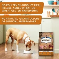 Rachael Ray Nutrish Real Turkey, Brown Rice & Venison Recipe Health Weight Dry Dog Food & Rachael Ray Nutrish Soup Bones Chicken & Veggies Flavor Dog Treats -Blue Buffalo || ROYAL CANIN || Wellness Sales 293744 PT4. AC SS1800 V1630449375