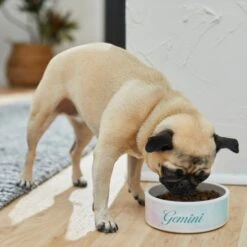 Frisco Watercolors Ceramic Personalized Dog Bowl -Blue Buffalo || ROYAL CANIN || Wellness Sales 296664 PT2. AC SS1800 V1625764663