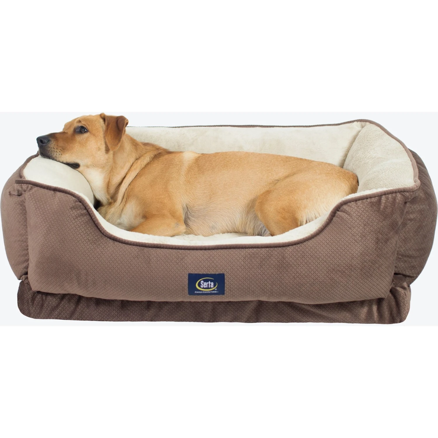 Serta Orthopedic Cuddler Cat & Dog Bed 3 Serta Orthopedic Cuddler Cat & Dog Bed