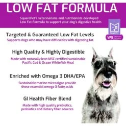 SquarePet VFS Digestive Support Low Fat Formula Dry Dog Food 12 SquarePet VFS Digestive Support Low Fat Formula Dry Dog Food -Blue Buffalo || ROYAL CANIN || Wellness Sales 297027 PT2. AC SS1800 V1620880934