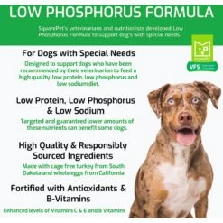 SquarePet VFS Low Phosphorus Formula Dry Dog Food 12 SquarePet VFS Low Phosphorus Formula Dry Dog Food -Blue Buffalo || ROYAL CANIN || Wellness Sales 297037 PT2. AC SS1800 V1620914274