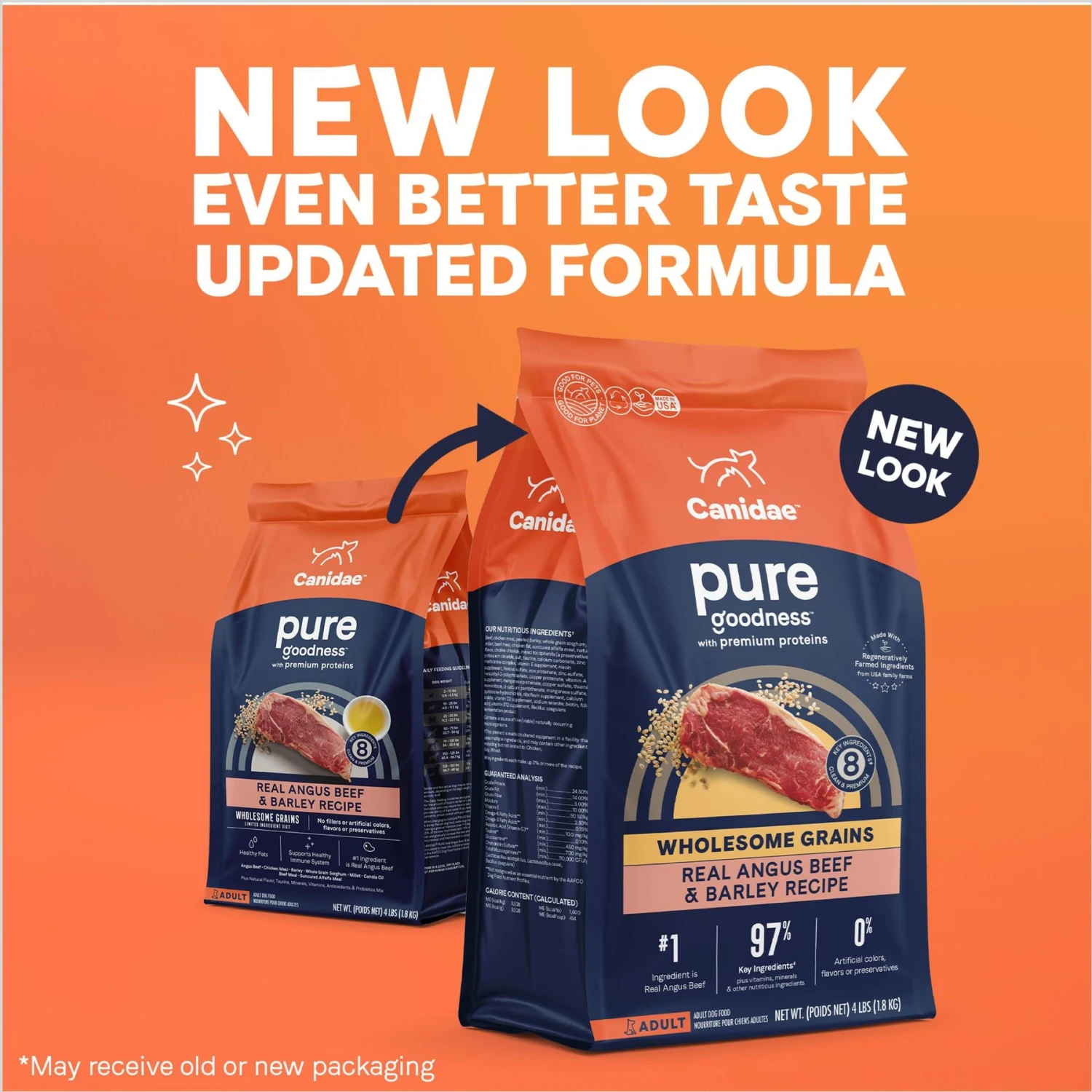 CANIDAE PURE With Wholesome Grains Real Beef & Barley Recipe Adult Dry Dog Food 4 CANIDAE PURE With Wholesome Grains Real Beef & Barley Recipe Adult Dry Dog Food - Image 2